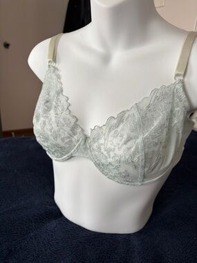 Dolce & Gabbana Light Green Mesh Embroidered Bra Size 36A
